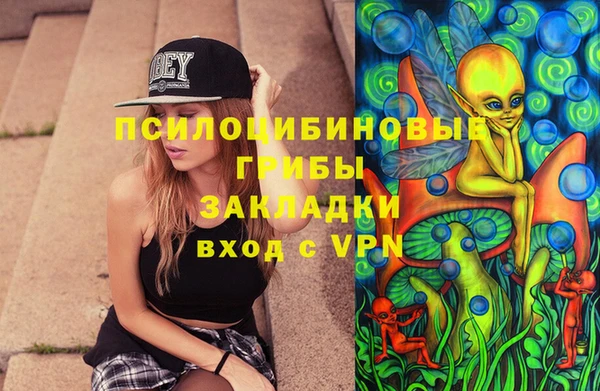 apvp Корсаков