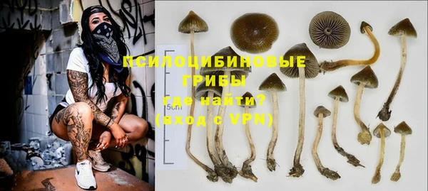 apvp Корсаков