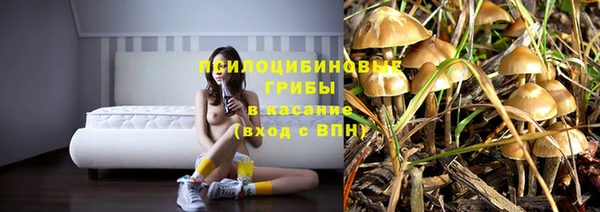 mix Костерёво